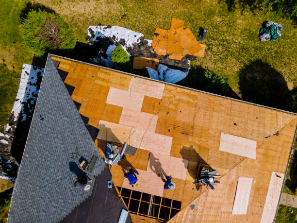 Best Storm Damage Roof Repair  in Pine Bush, NY